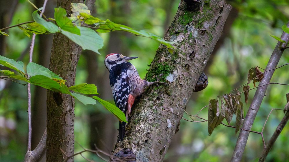 Photograph by Иван Ильин