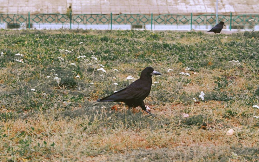 Photograph by Екатерина Иванова