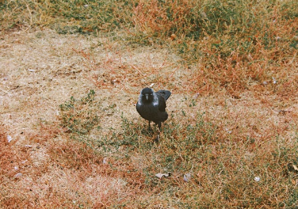 Photograph by Екатерина Иванова