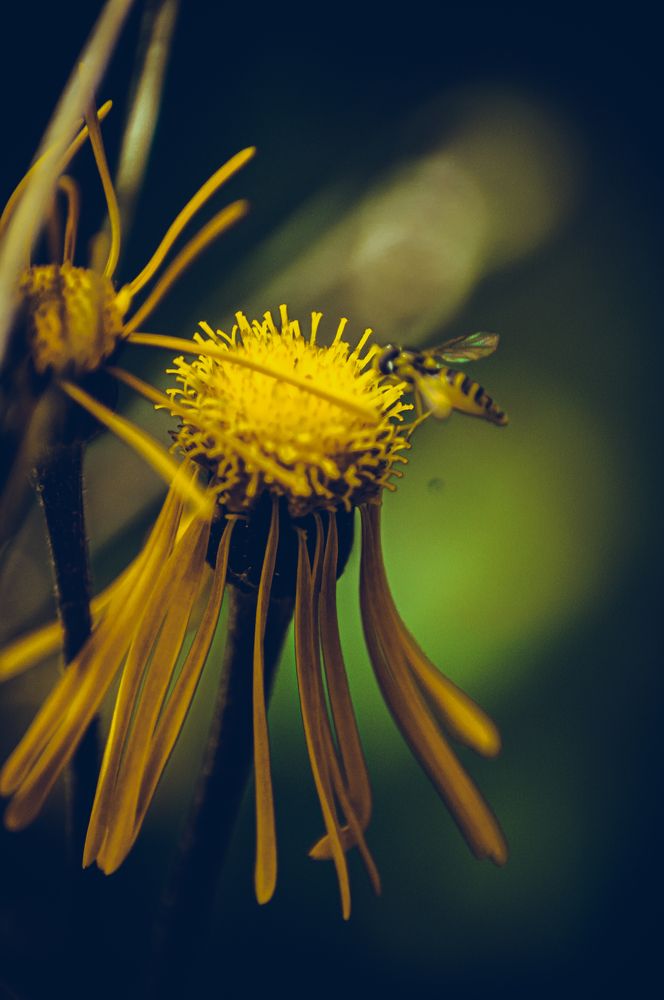 Photograph by Алексей Егоров