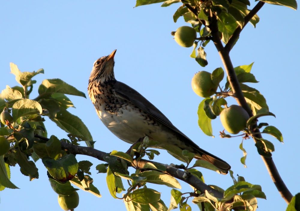 Photograph by Глеб Кузьминых