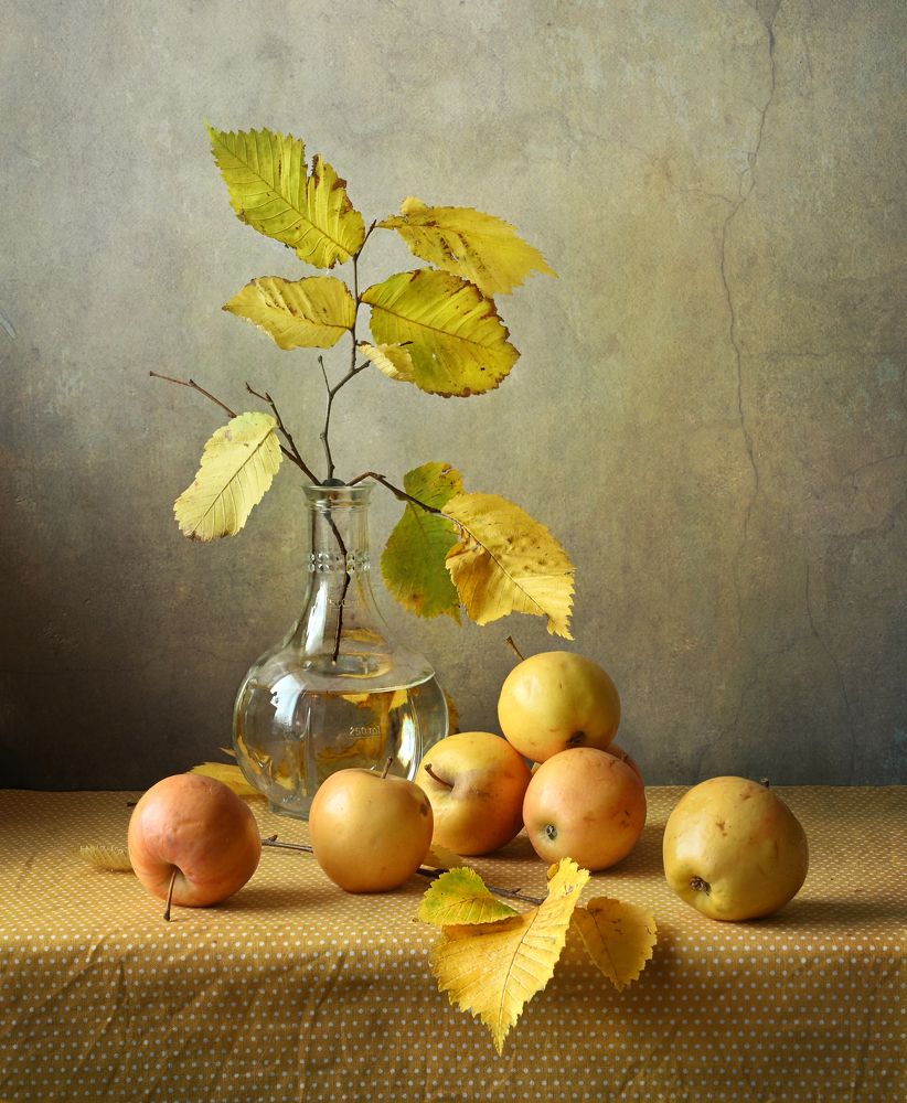 Photograph by Елена Виноградова