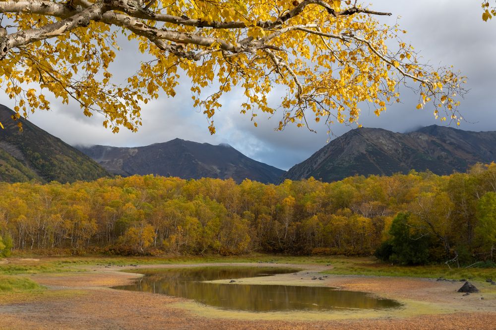 Photograph by Наталья Королева