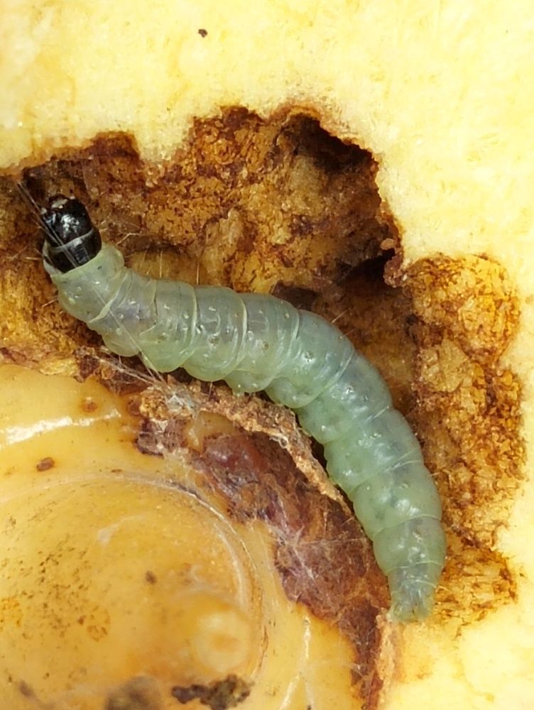 Photograph by Ishaq Karim