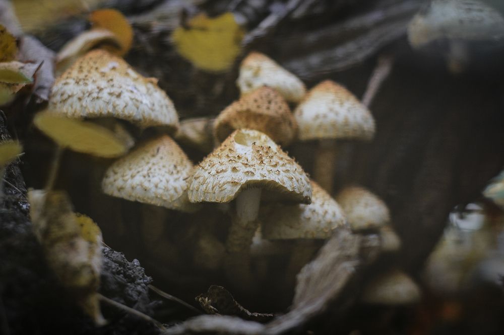 Photograph by Екатерина Пантелеева