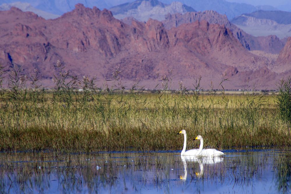 Photograph by Munkhzorig Baatar