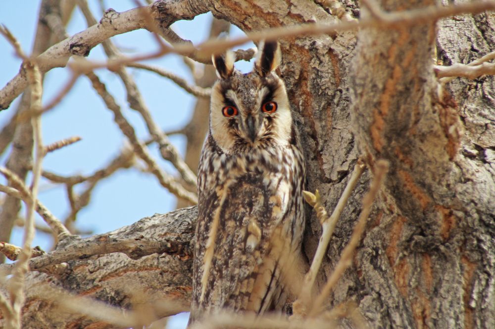 Photograph by Munkhzorig Baatar