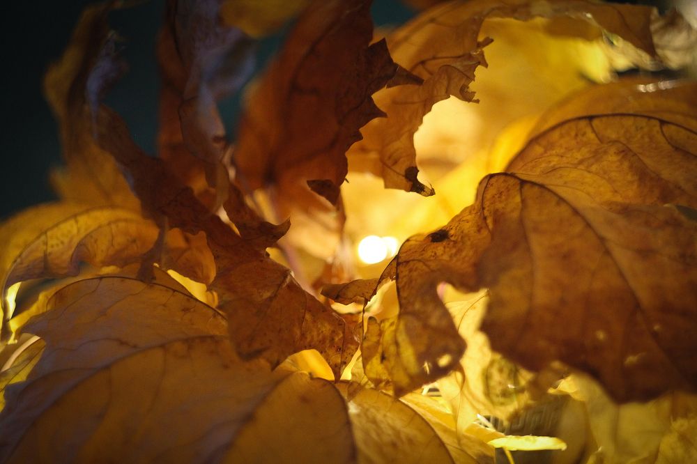 Photograph by Екатерина Пантелеева