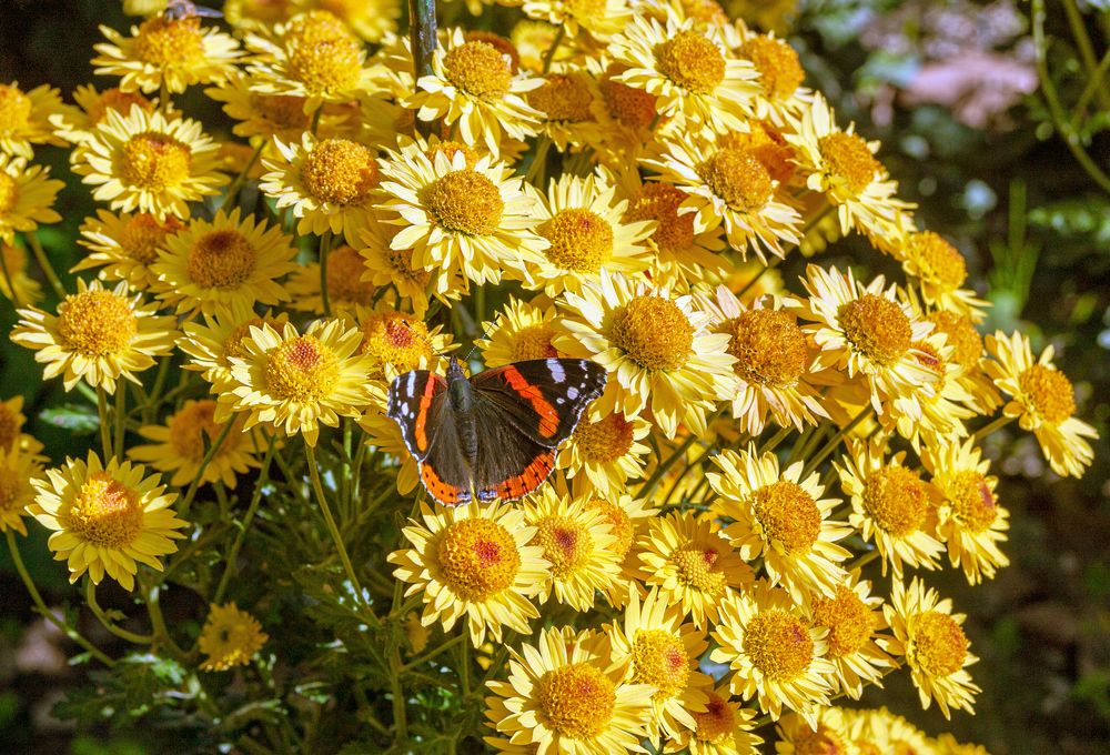 Photograph by Сергей Христинич