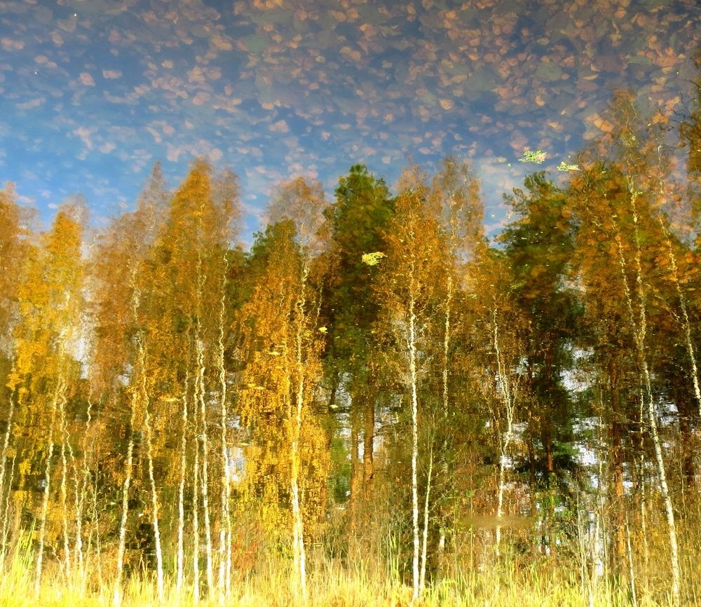 Photograph by Екатерина Салий