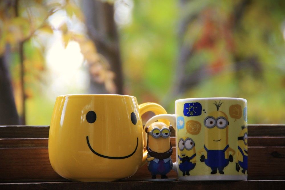 Фотография автора Светлана Терехова