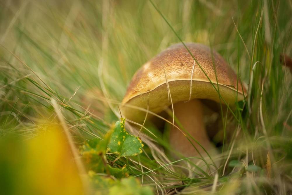 Photograph by Марина Зборацкая