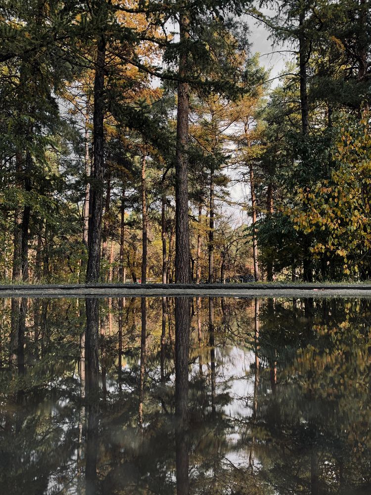 Photograph by Сергей