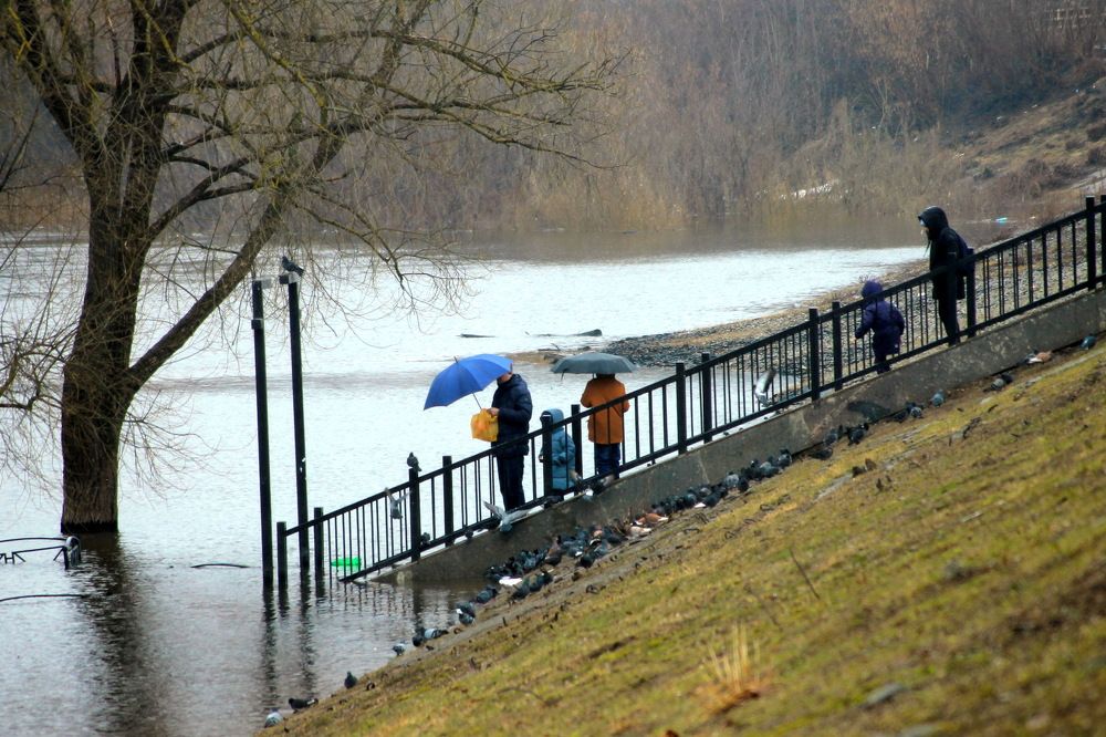 Photograph by Александр Гришин