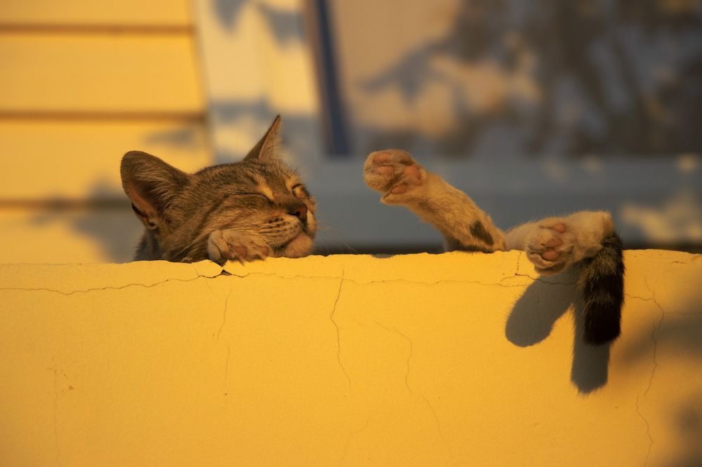 Photograph by Галина Ильясова