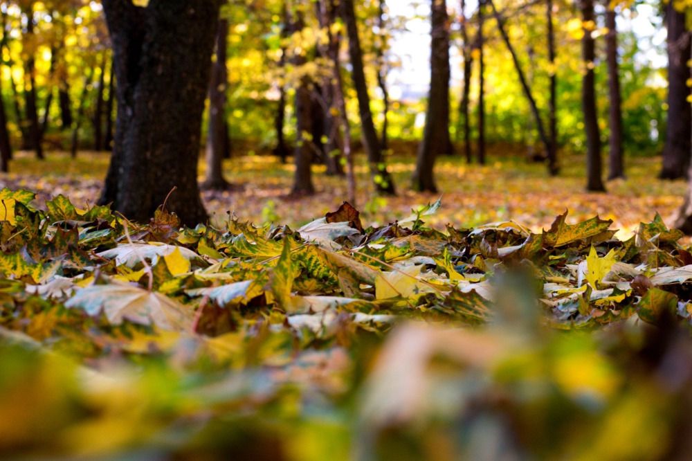 Photograph by Alyona Popova