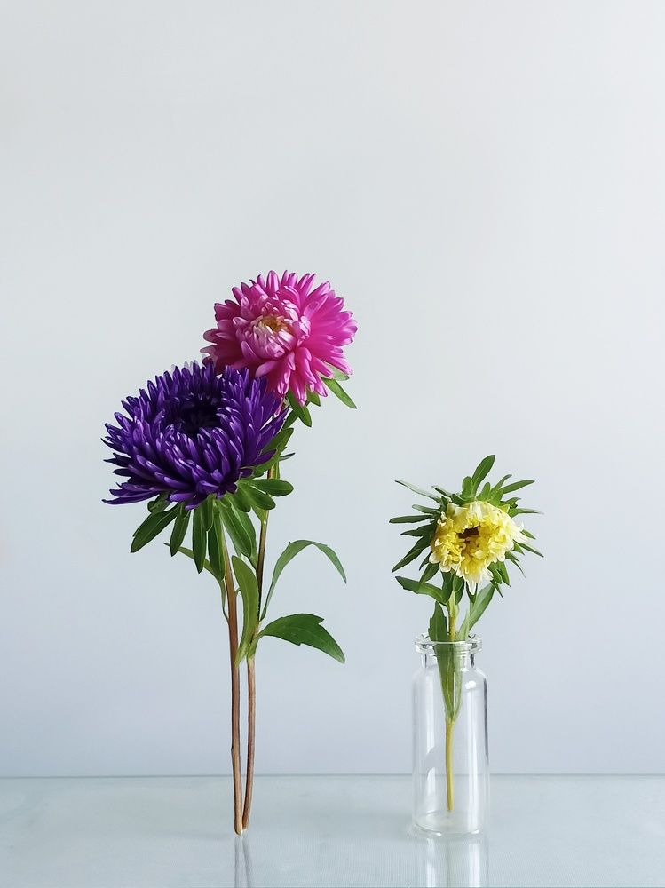 Фотография автора Татьяна Шахова