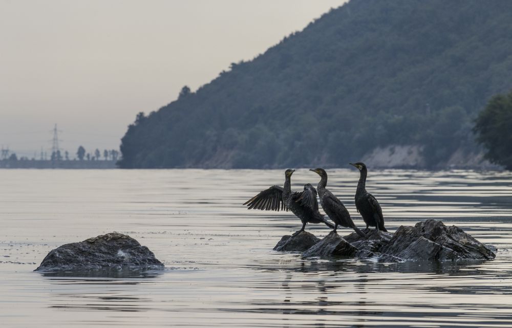 Photograph by Sergey Paramonov