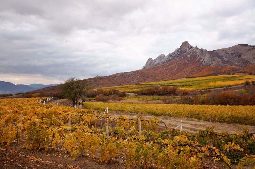 Photograph by Зорин Миша