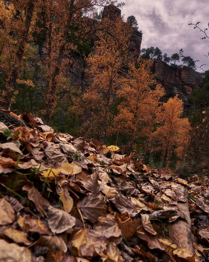 Photograph by Daniel Villalba Garcia