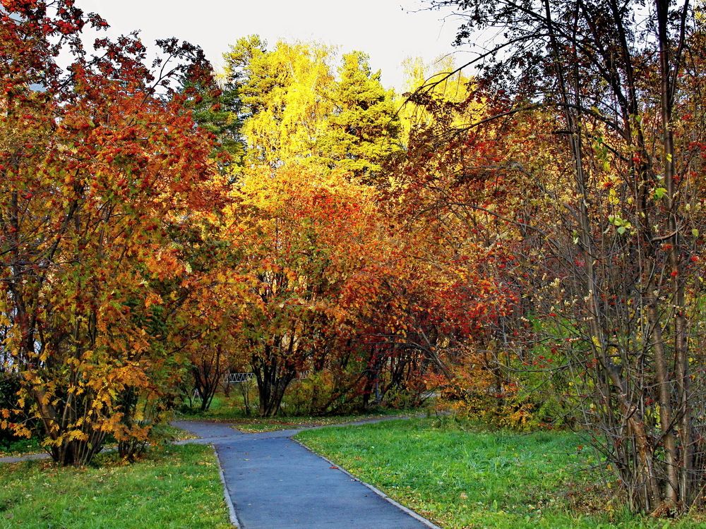 Photograph by Еловиков Олег