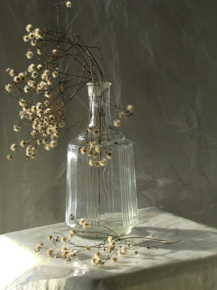 Photograph by Лада Кляузина