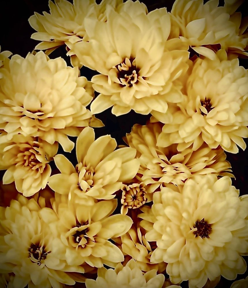 Photograph by Татьяна Мустафина