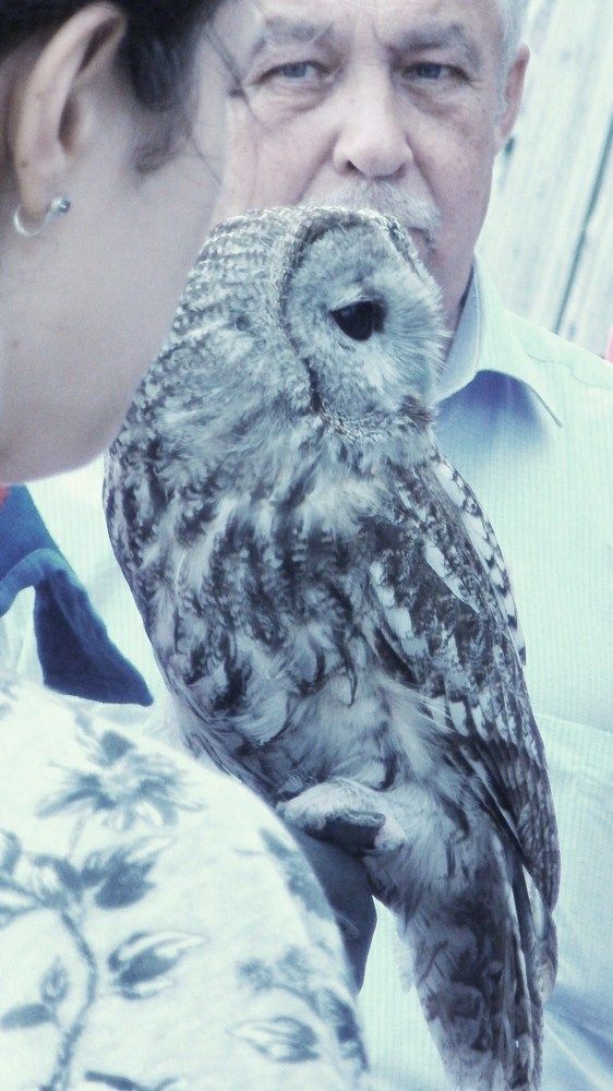 Photograph by Irina Mihailovskaya