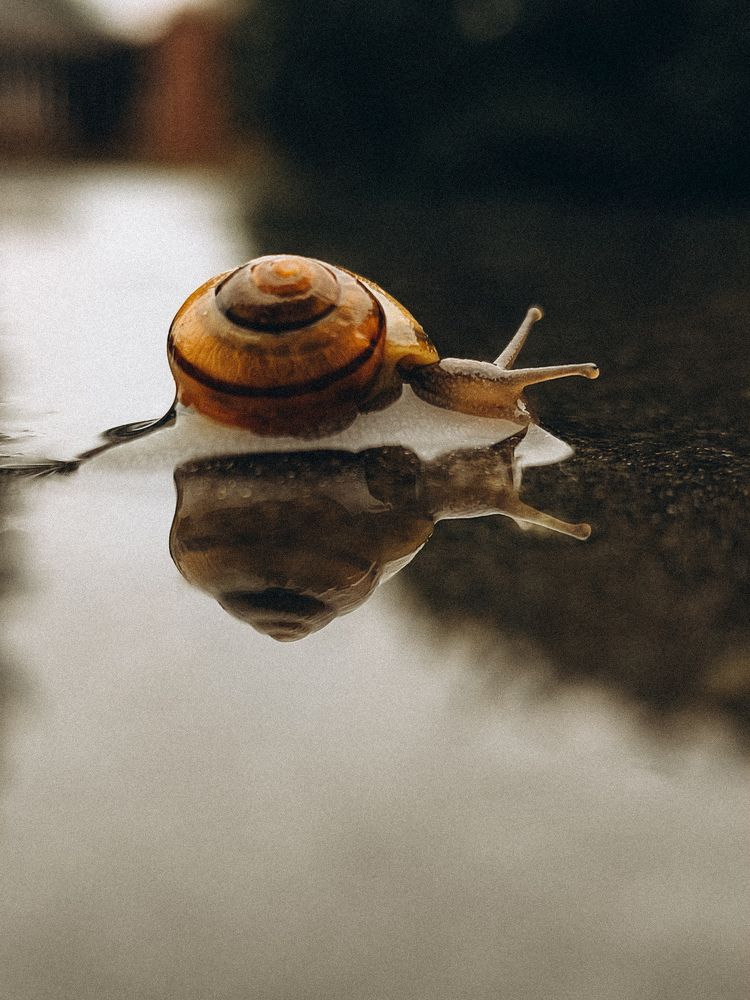 Photograph by КАТРИНА