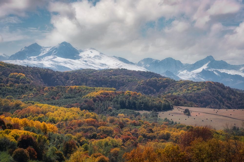 Фотография автора Константин Яковлев
