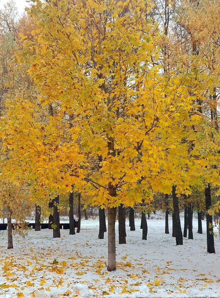 Photograph by Галина Маркова
