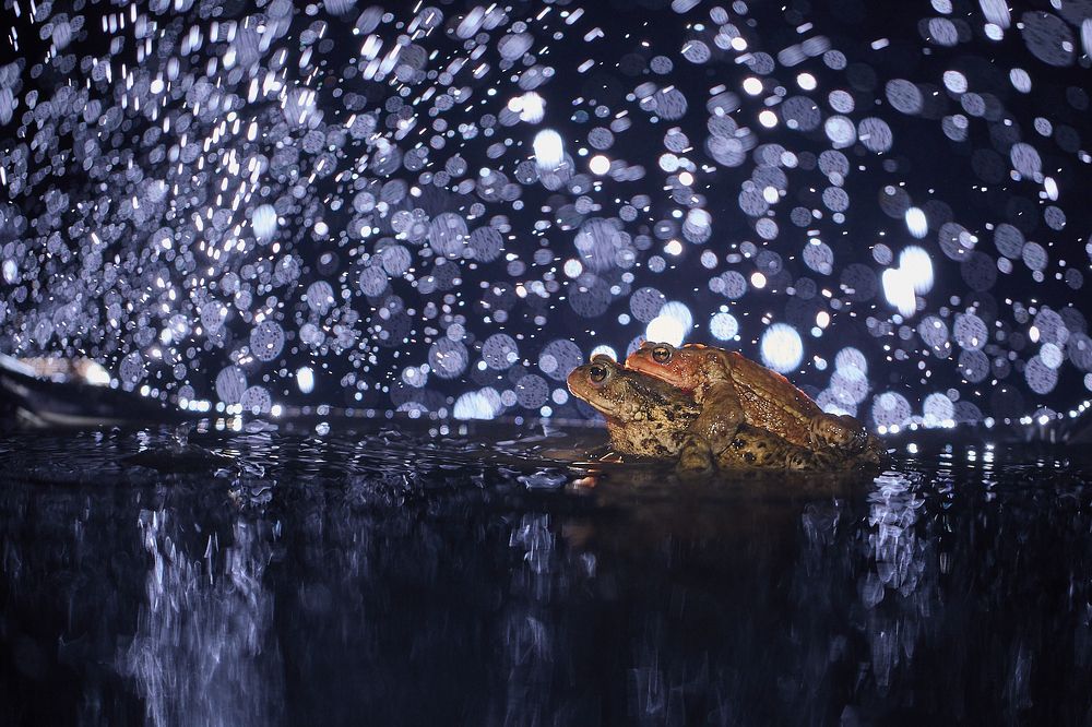 Photograph by Iztok Kveder