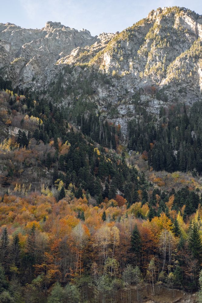 Фотография автора Константин Яковлев