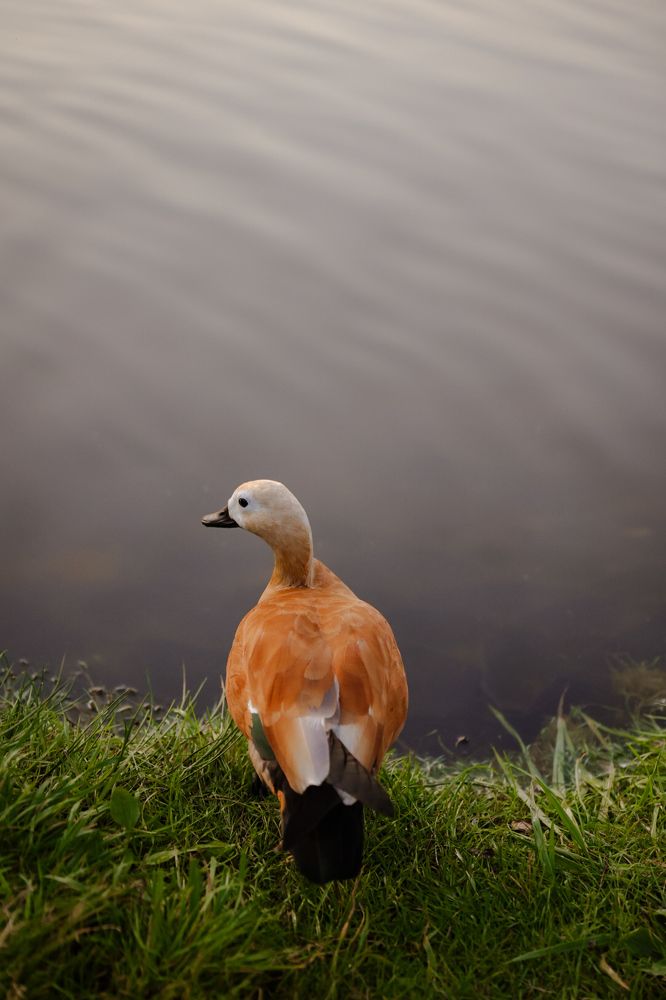 Photograph by Екатерина