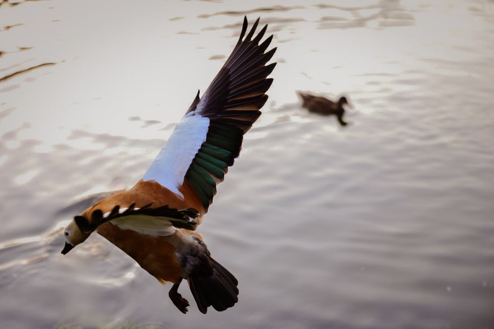 Photograph by Екатерина