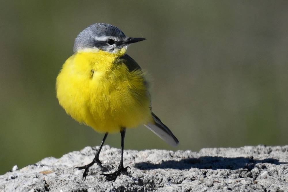 Photograph by Елена Гасенко