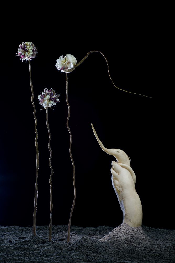 Фотография автора Черновол Валентин