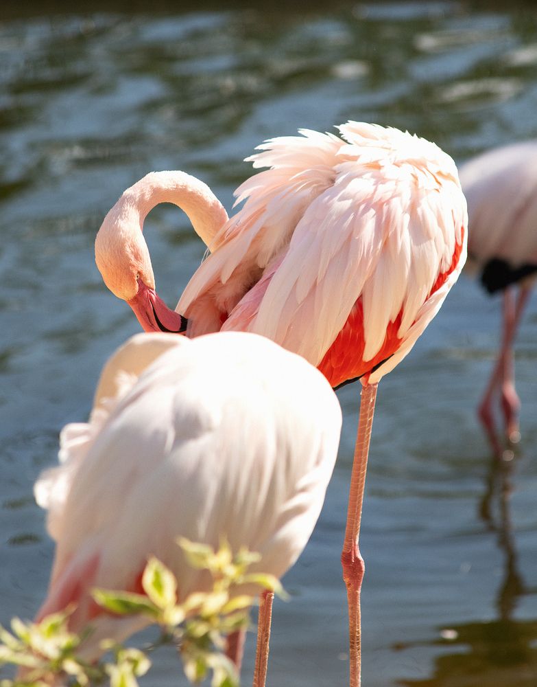 Photograph by Павлов Егор