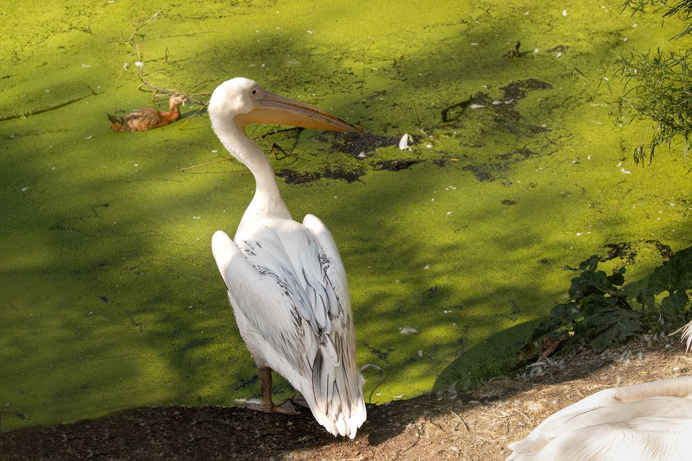 Photograph by Павлов Егор