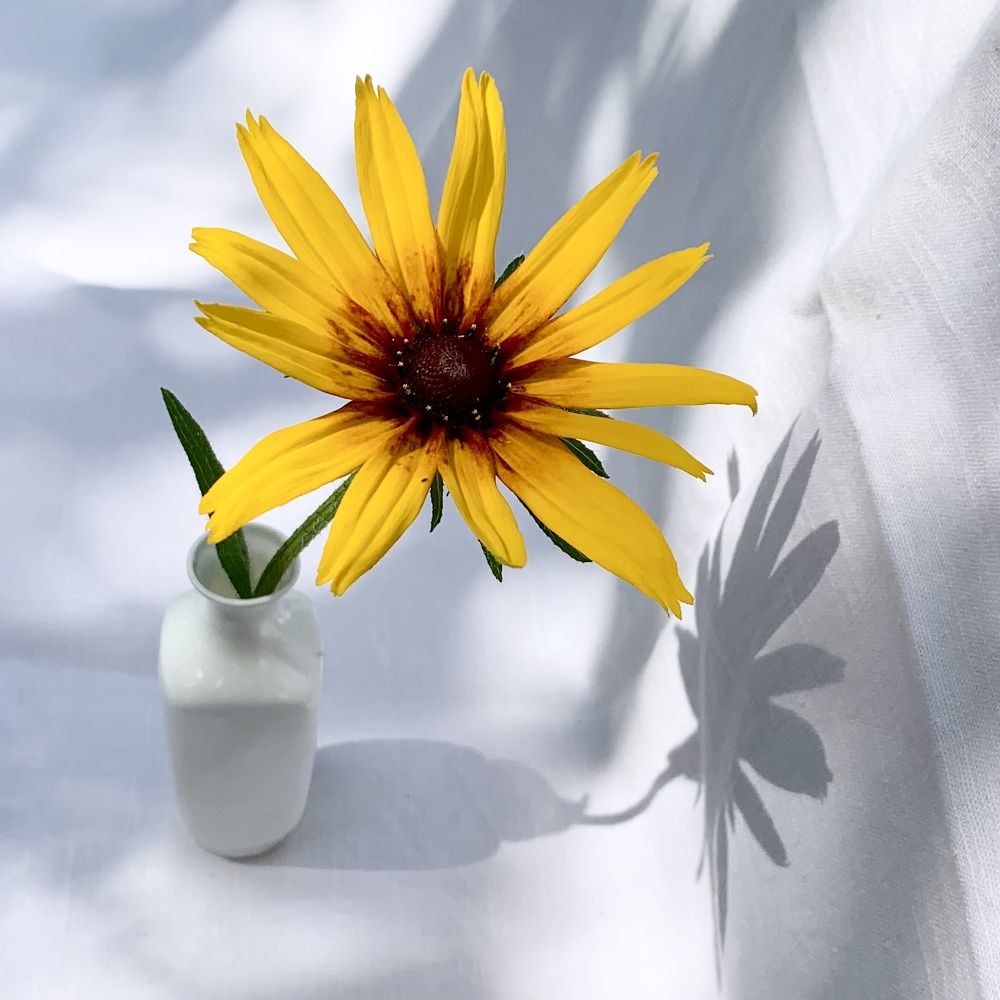 Photograph by Ионова Татьяна