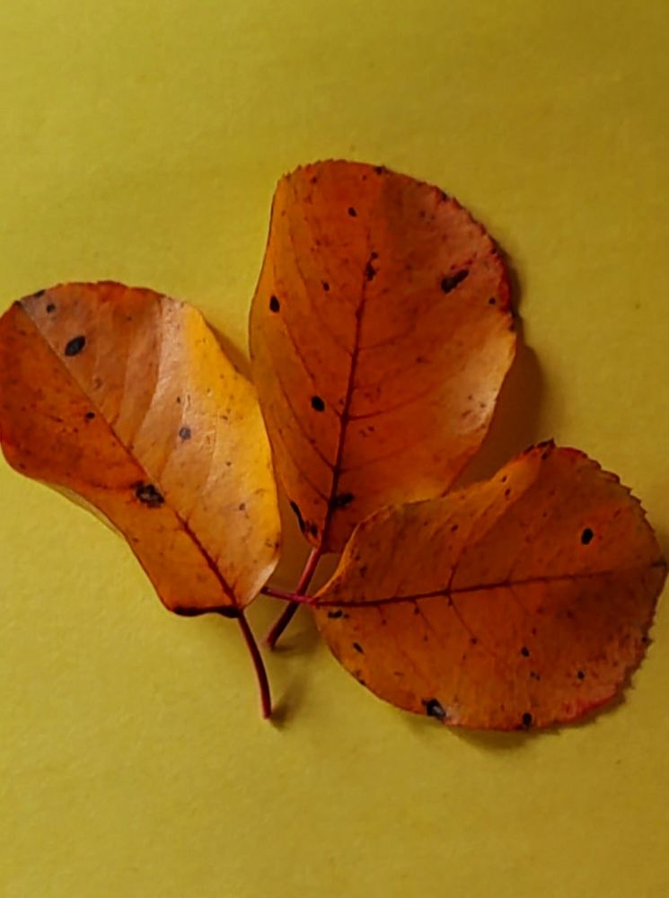 Photograph by Ольга Булдакова