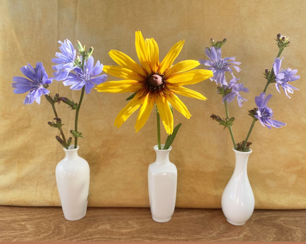 Photograph by Ионова Татьяна