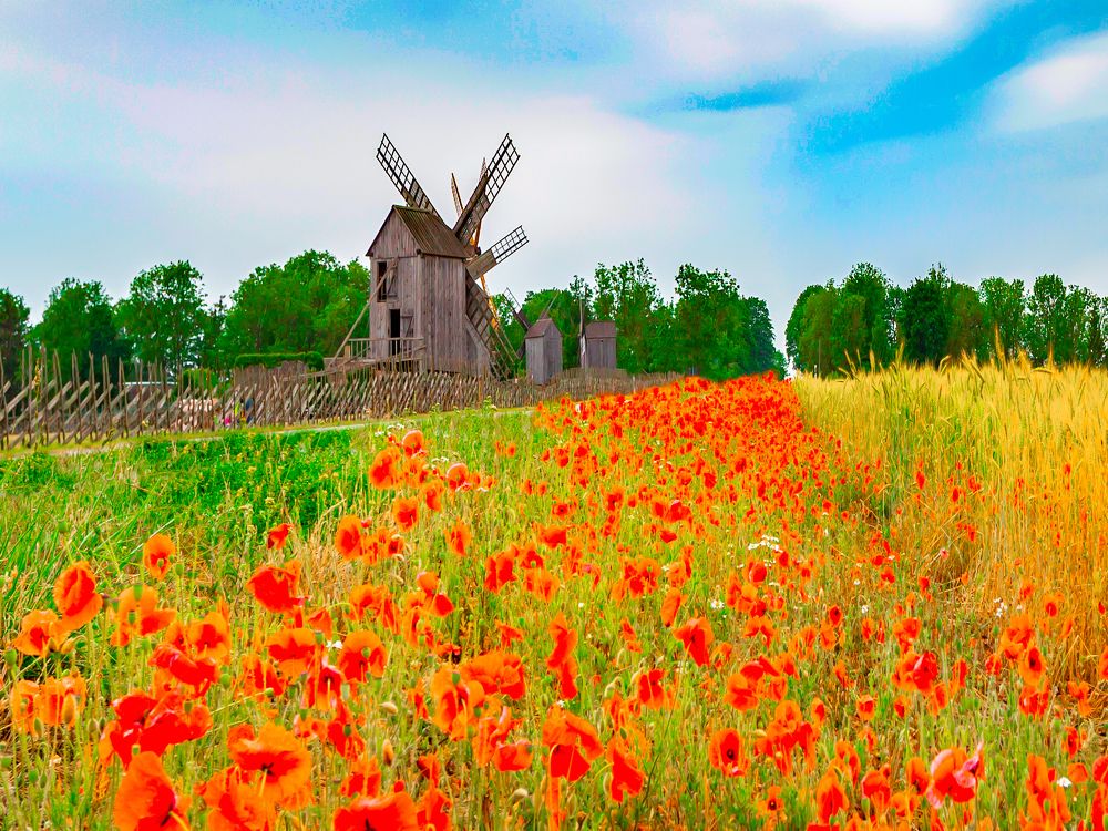 Фотография автора Людмила Прокофьева