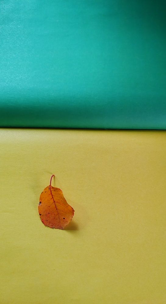 Photograph by Ольга Булдакова