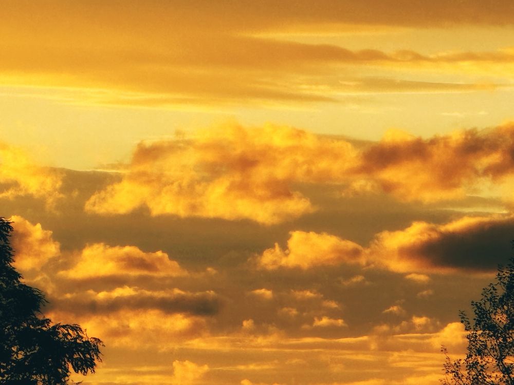 Photograph by daria eipert