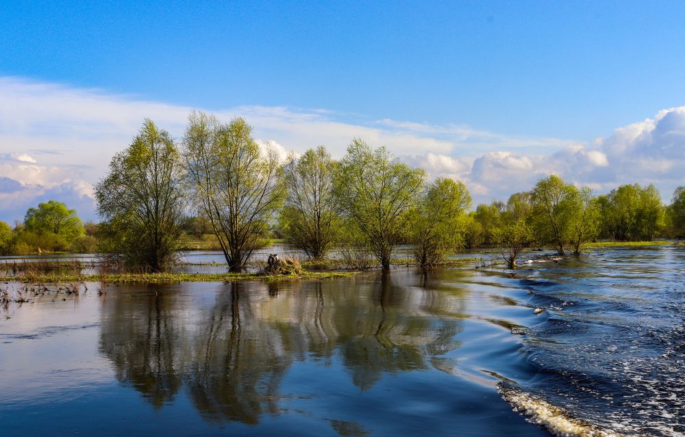 Разливы реки Припять весной.