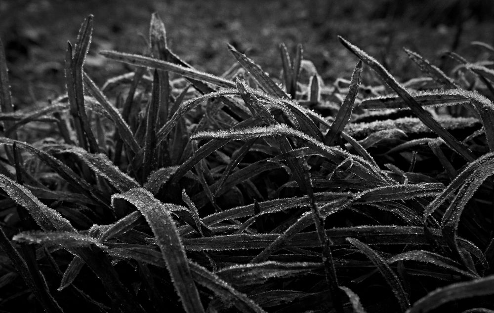 Photograph by Дарья Толстых