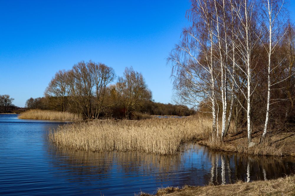 Контраст мартовской природы.