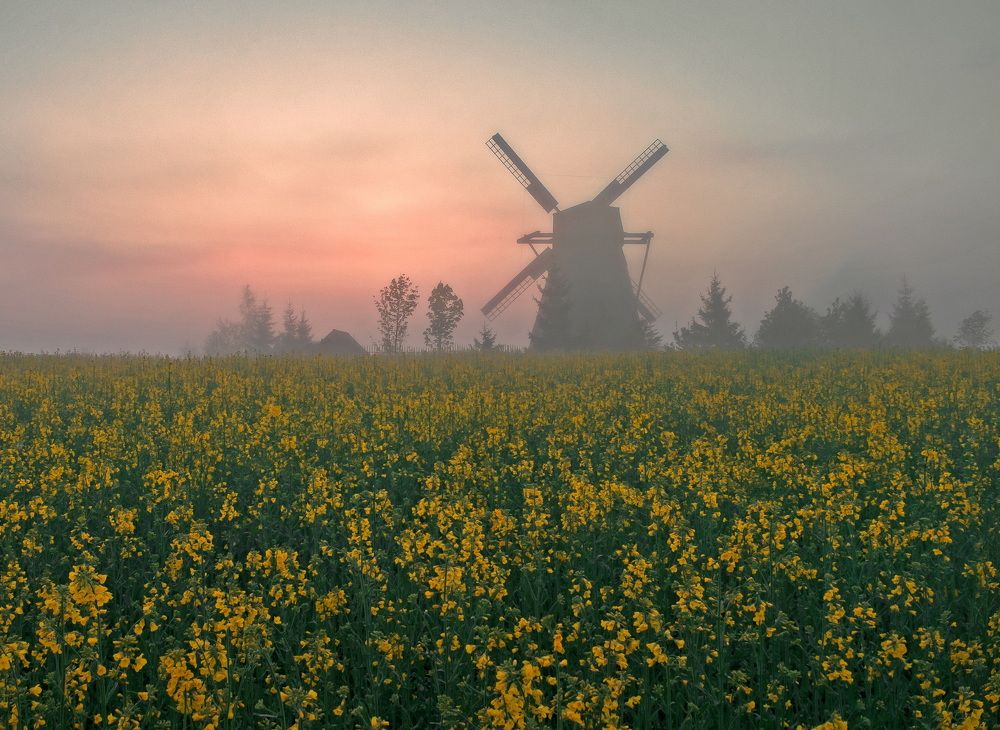 Photograph by Александр Гвоздь