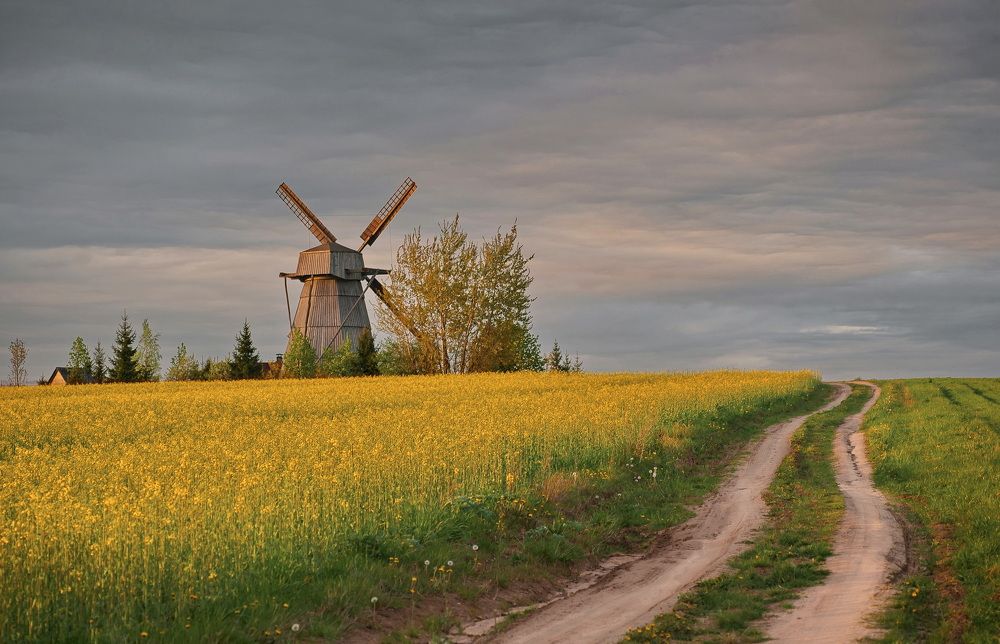 Photograph by Александр Гвоздь